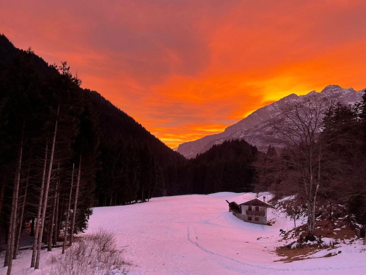 Chalet Relax Molveno E Andalo Dolomiti 빌라 외부 사진