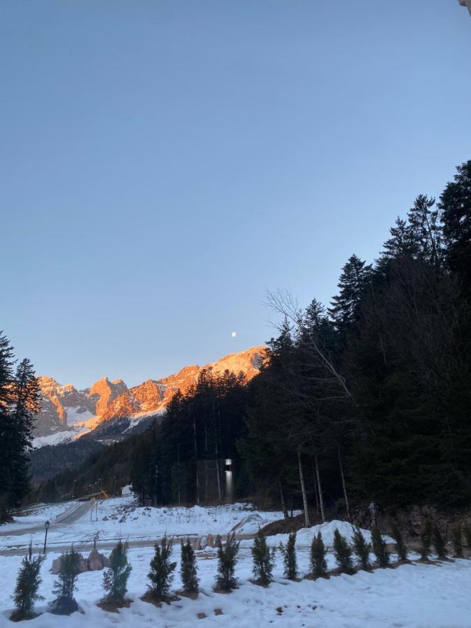 Chalet Relax Molveno E Andalo Dolomiti 빌라 외부 사진