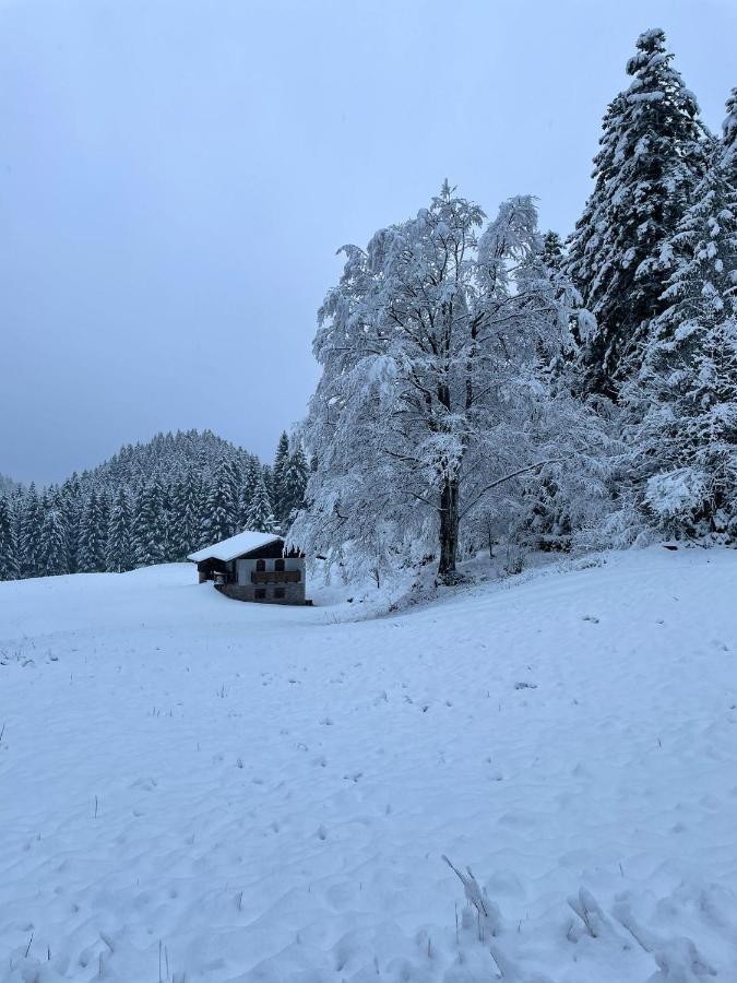 Chalet Relax Molveno E Andalo Dolomiti 빌라 외부 사진