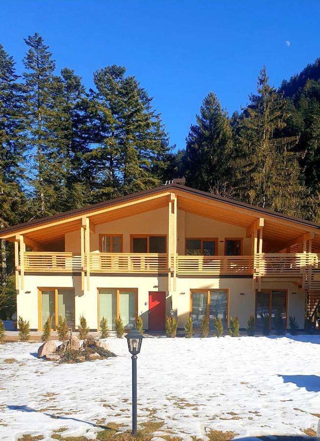 Chalet Relax Molveno E Andalo Dolomiti 빌라 외부 사진