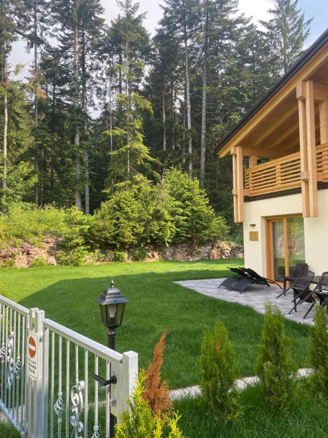 Chalet Relax Molveno E Andalo Dolomiti 빌라 외부 사진