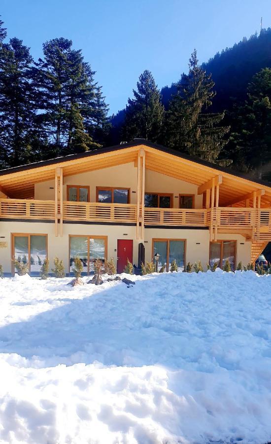 Chalet Relax Molveno E Andalo Dolomiti 빌라 외부 사진
