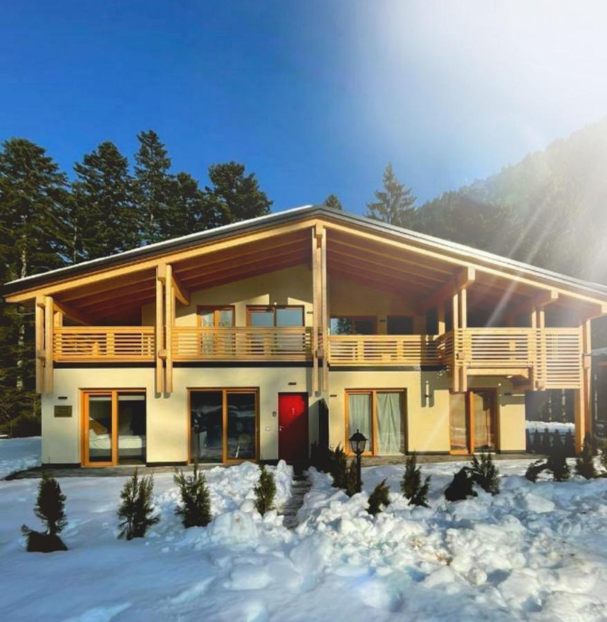 Chalet Relax Molveno E Andalo Dolomiti 빌라 외부 사진