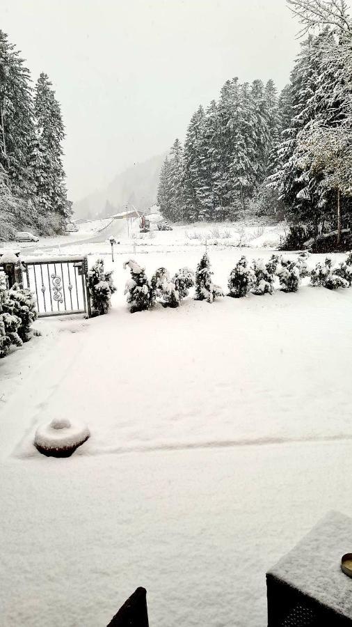 Chalet Relax Molveno E Andalo Dolomiti 빌라 외부 사진