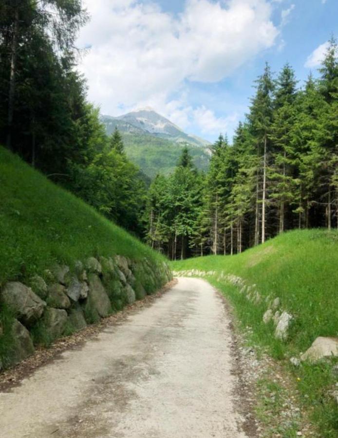 Chalet Relax Molveno E Andalo Dolomiti 빌라 외부 사진