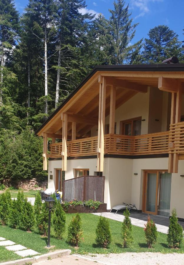 Chalet Relax Molveno E Andalo Dolomiti 빌라 외부 사진