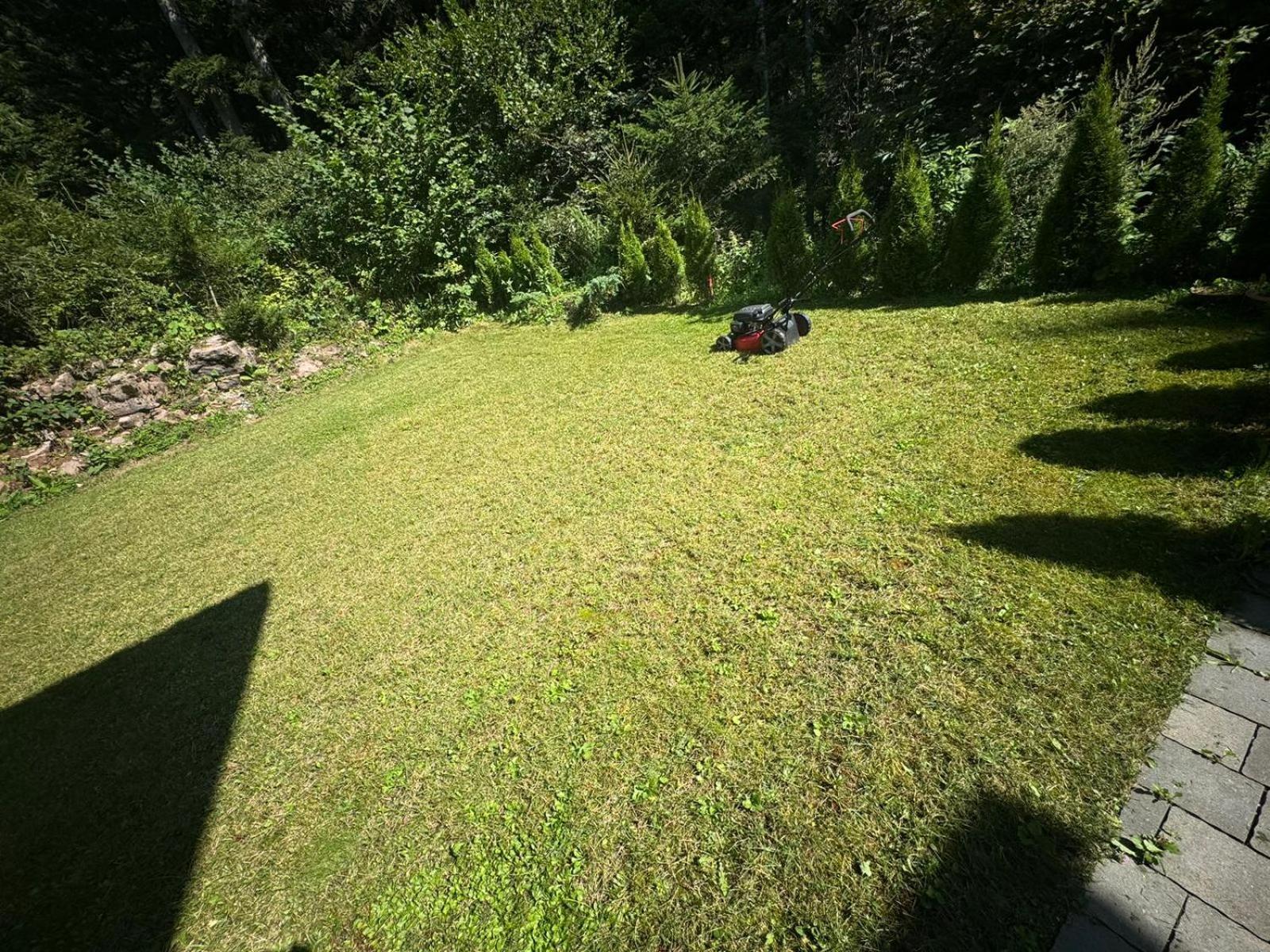 Chalet Relax Molveno E Andalo Dolomiti 빌라 외부 사진